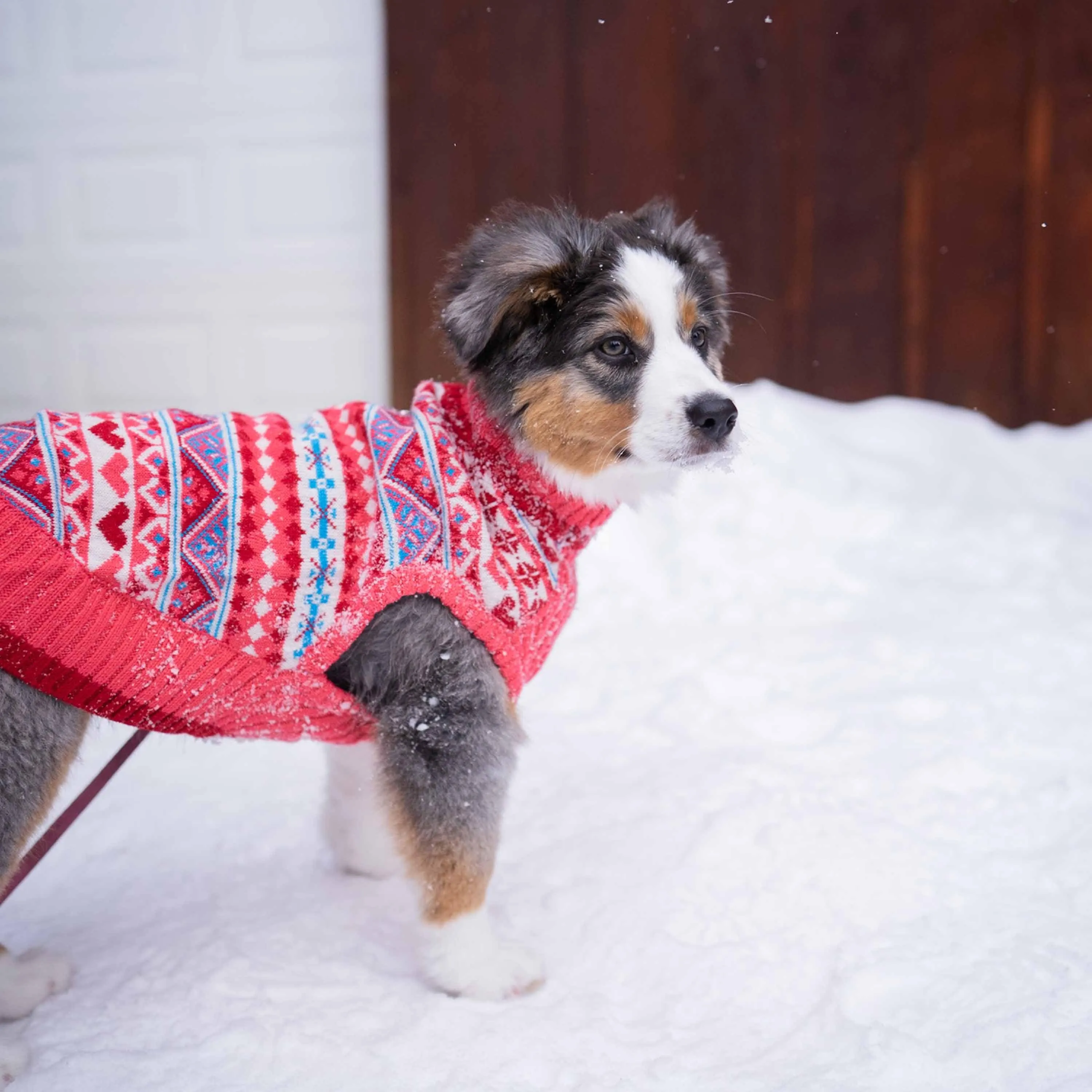 Charm Fair Isle Dog Sweater