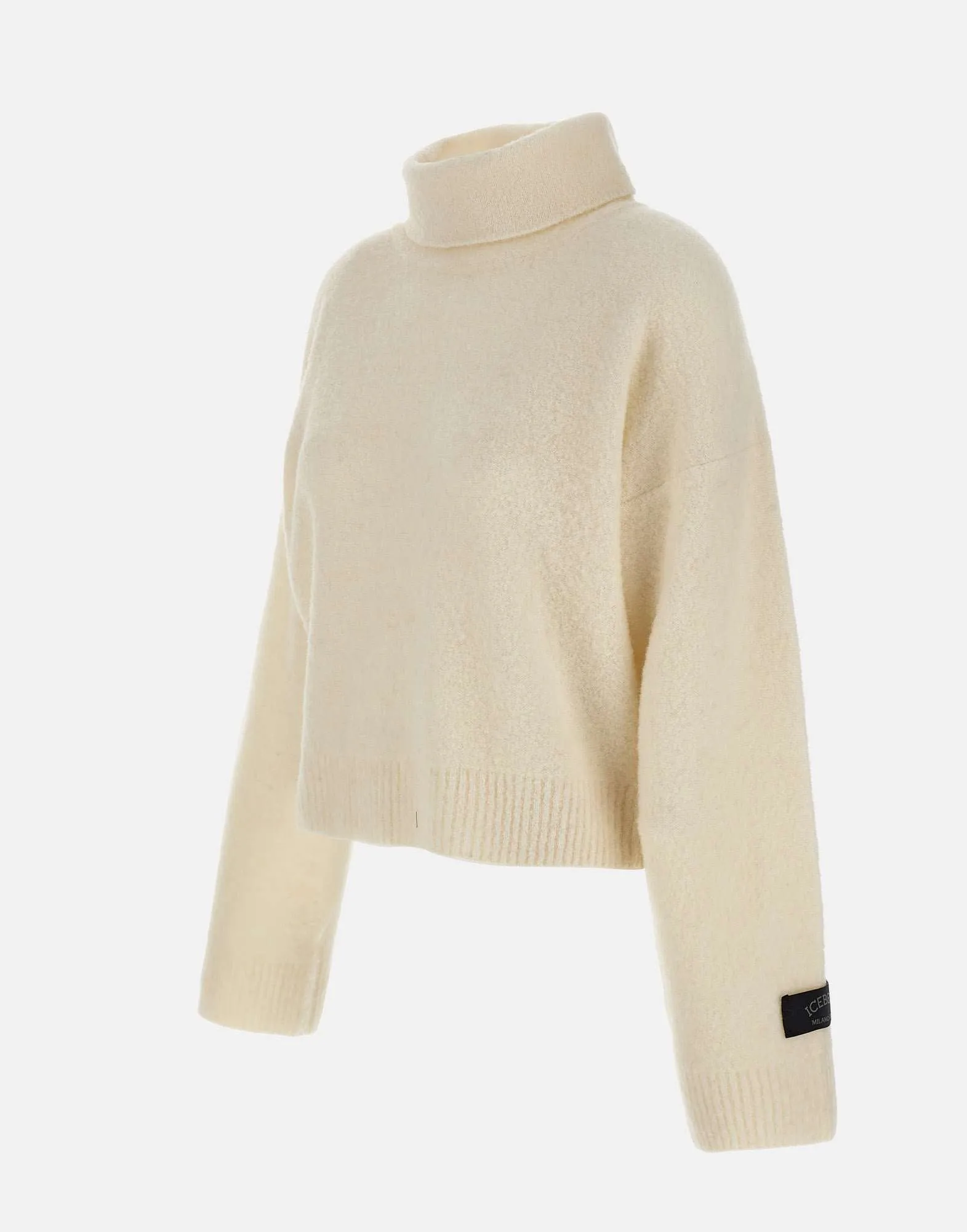 Dropped Wool Knit Turtleneck Sweater