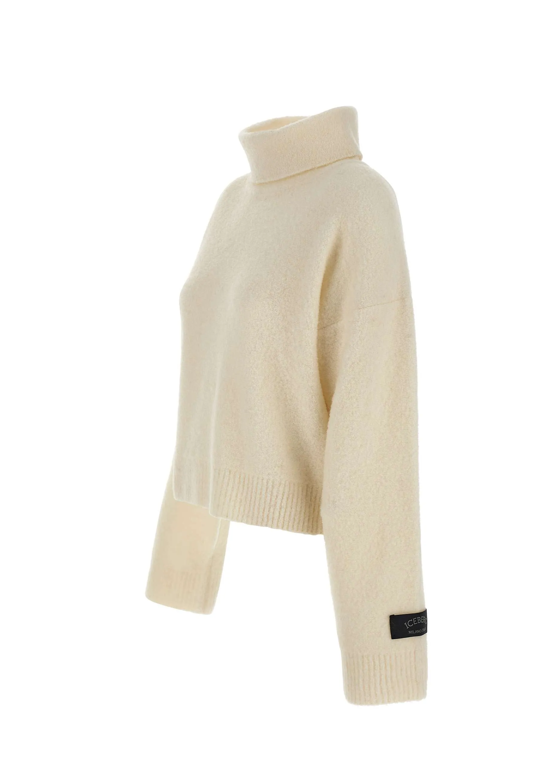 Dropped Wool Knit Turtleneck Sweater